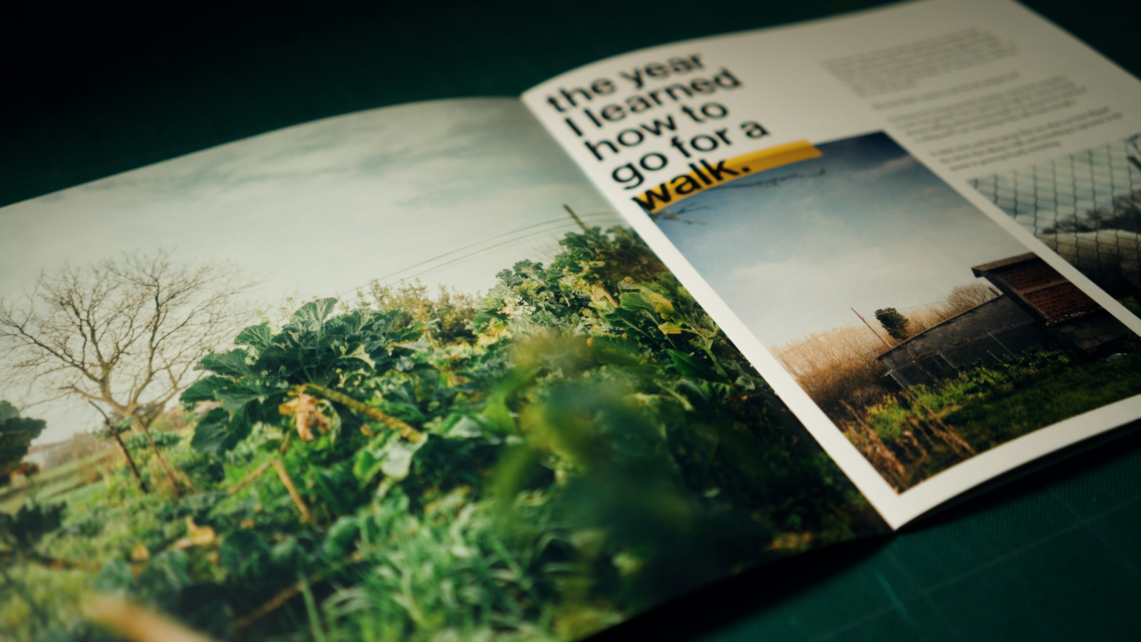 Zine 01 - The Year I Learned How To Walk - Second Printing - Edition of 100